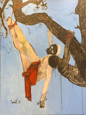 ZTEST Aurore Bleue